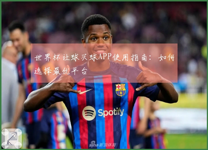 世界杯让球买球APP使用指南：如何选择最优平台