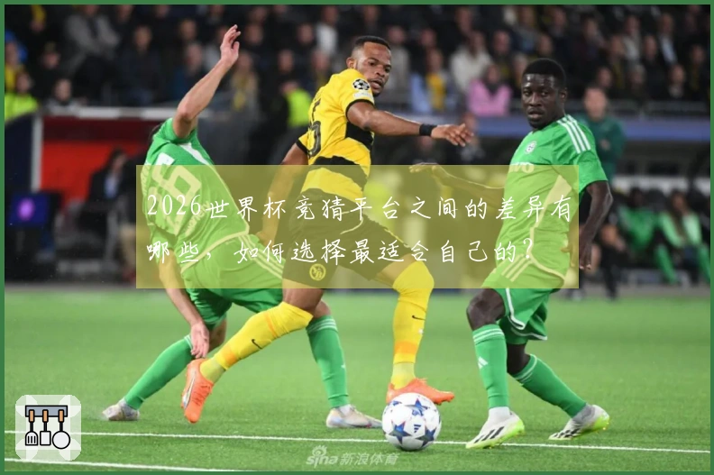 2026世界杯竞猜平台之间的差异有哪些，如何选择最适合自己的？