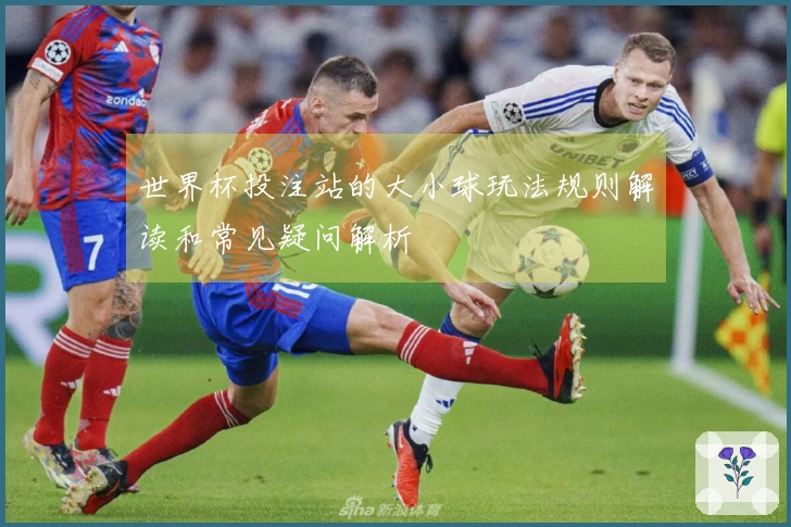 世界杯投注站的大小球玩法规则解读和常见疑问解析