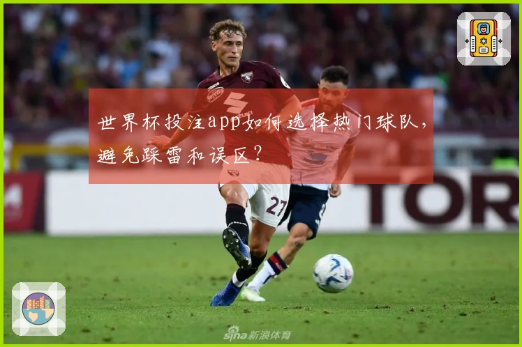 世界杯投注app如何选择热门球队，避免踩雷和误区？