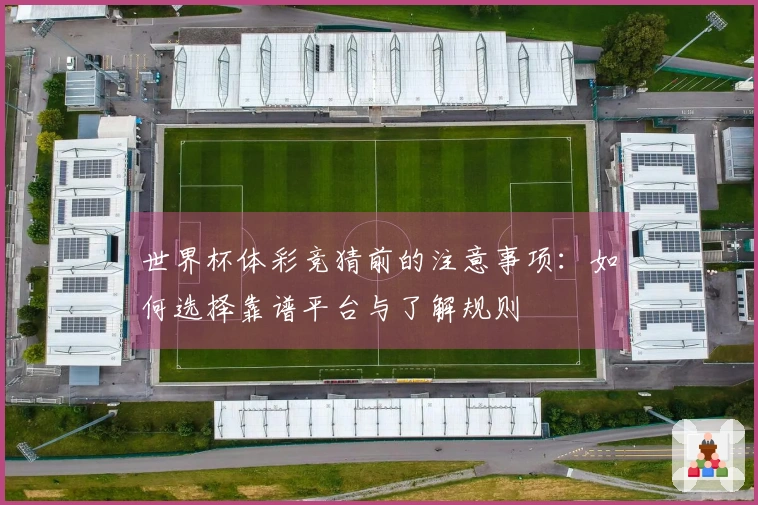 世界杯体彩竞猜前的注意事项：如何选择靠谱平台与了解规则