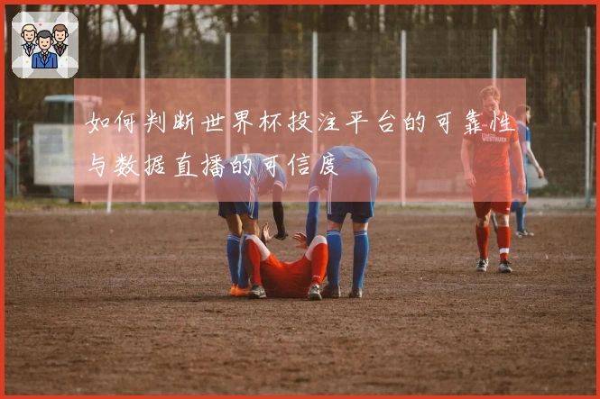 如何判断世界杯投注平台的可靠性与数据直播的可信度
