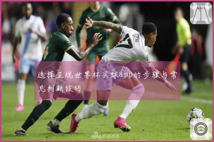 选择正规世界杯买球app的步骤与常见判断技巧