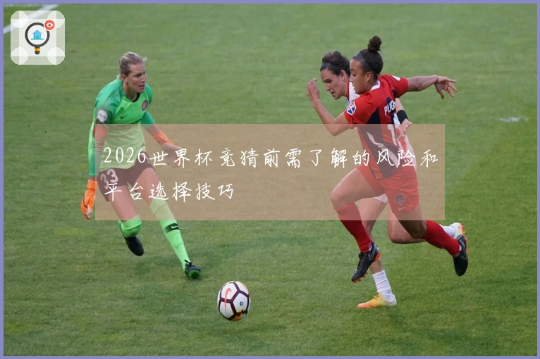 2026世界杯竞猜前需了解的风险和平台选择技巧