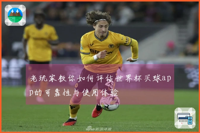 老玩家教你如何评估世界杯买球app的可靠性与使用体验