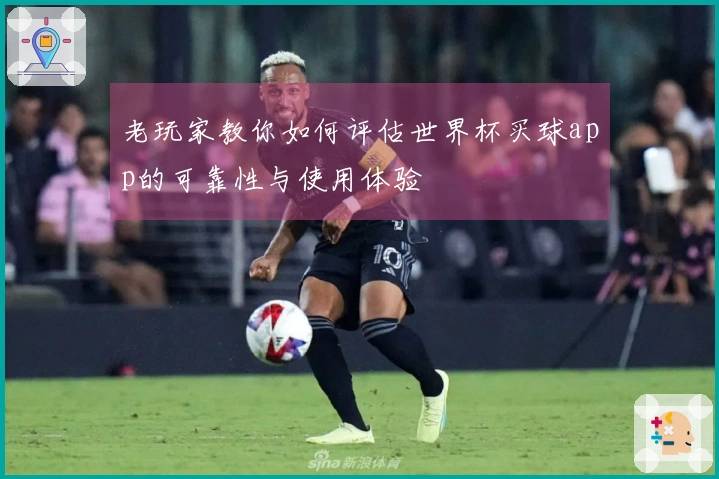 老玩家教你如何评估世界杯买球app的可靠性与使用体验