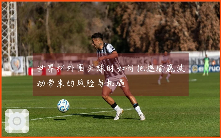 世界杯外围买球时如何把握输赢波动带来的风险与机遇