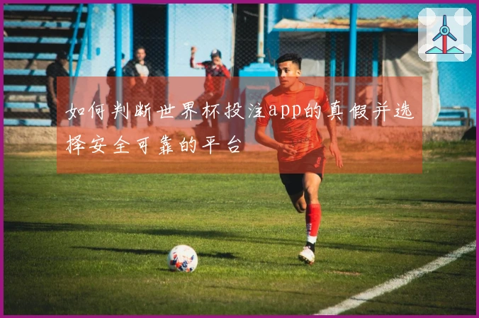 如何判断世界杯投注app的真假并选择安全可靠的平台