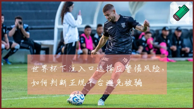 世界杯下注入口选择应警惕风险，如何判断正规平台避免被骗