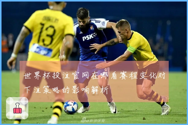 世界杯投注官网在哪看赛程变化对下注策略的影响解析