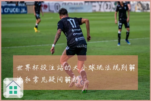 世界杯投注站的大小球玩法规则解读和常见疑问解析