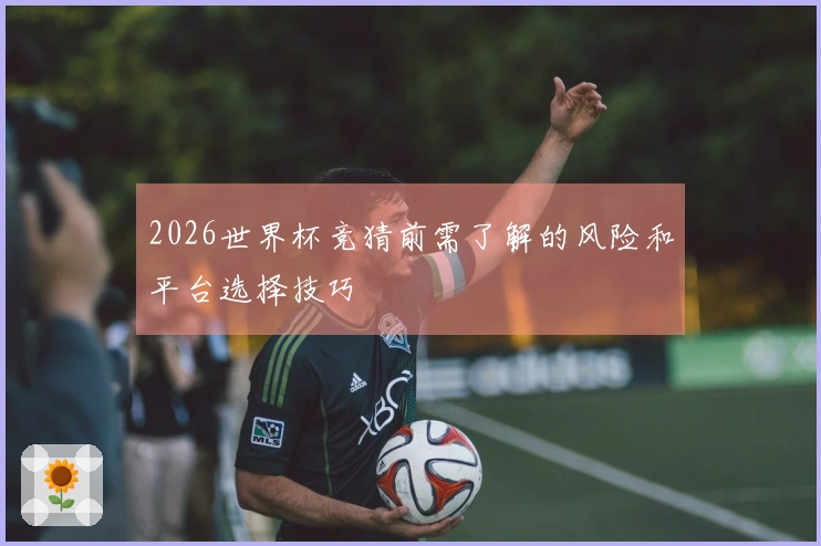 2026世界杯竞猜前需了解的风险和平台选择技巧