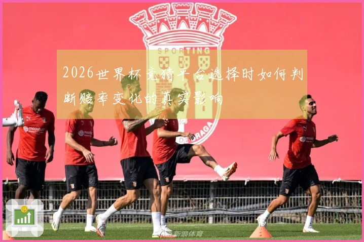 2026世界杯竞猜平台选择时如何判断赔率变化的真实影响