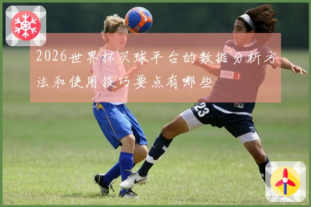 2026世界杯买球平台的数据分析方法和使用技巧要点有哪些