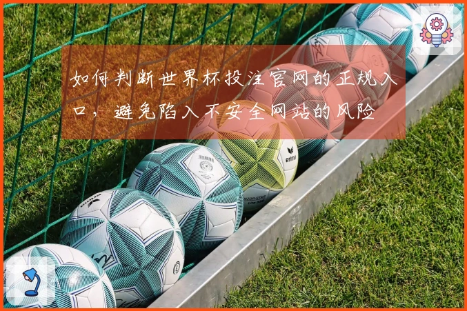 如何判断世界杯投注官网的正规入口，避免陷入不安全网站的风险