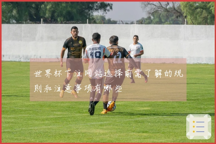 世界杯下注网站选择前需了解的规则和注意事项有哪些