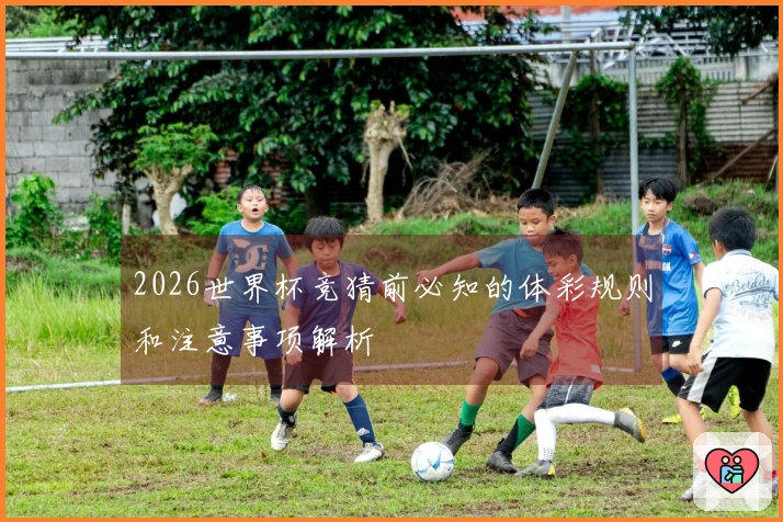 2026世界杯竞猜前必知的体彩规则和注意事项解析