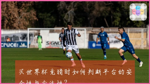 买世界杯竞猜时如何判断平台的安全性与合法性？